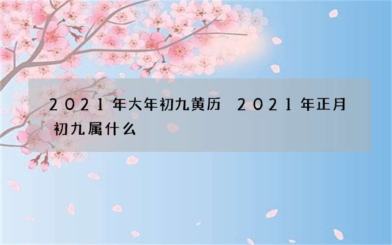 2021年大年初九黄历 2021年正月初九属什么